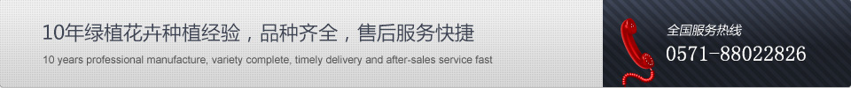首頁(yè)橫幅廣告1