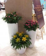 高檔花卉組合